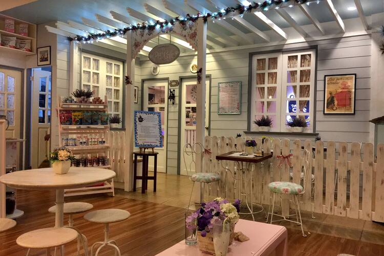 Velvet Friends Cat Cafe 2021 Velvet Friends Cat Cafe 2021